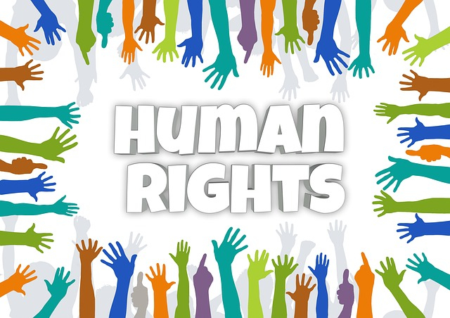 Międzynarodowa Konferencja Naukowa Prawa Człowieka i Ludzkie Bezpieczeństwo- Osiągnięcia i Wyzwania  w  70. Rocznicę Ogłoszenia Powszechnej Deklaracji Praw Człowieka, Gdańsk 19 XI 2018 r. 